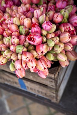 Ahşap bir sandıkiçinde lale buketleri