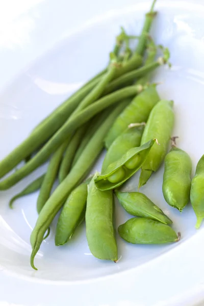 Guisantes y habas —  Fotos de Stock