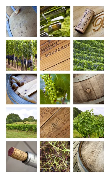 Vinařství a vinice — Stock fotografie