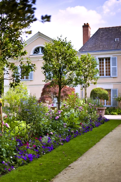 Garden — Stock Photo, Image