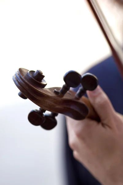 Игра на скрипке — стоковое фото
