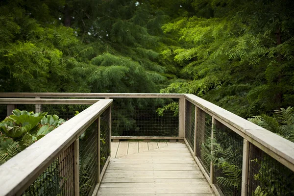 Holzdeck in einem Park — Stockfoto