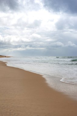 Fransa 'da Porge plajında yürüyen üç kişilik bir grup.