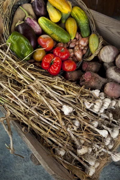 Vegetable and garlic — Stock Photo, Image