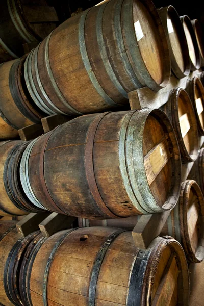 Oak barrels — Stock Photo, Image