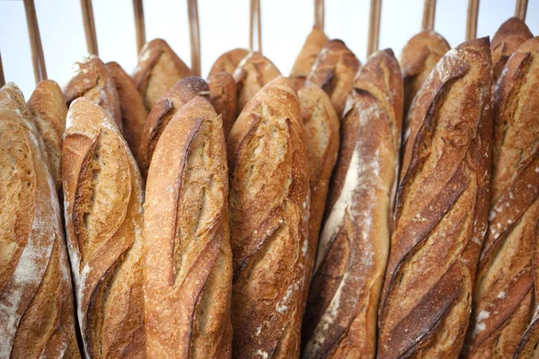 Bröd i ett bageri — Stockfoto