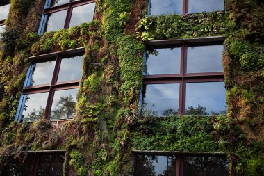 Paris cephesinde yeşil duvar