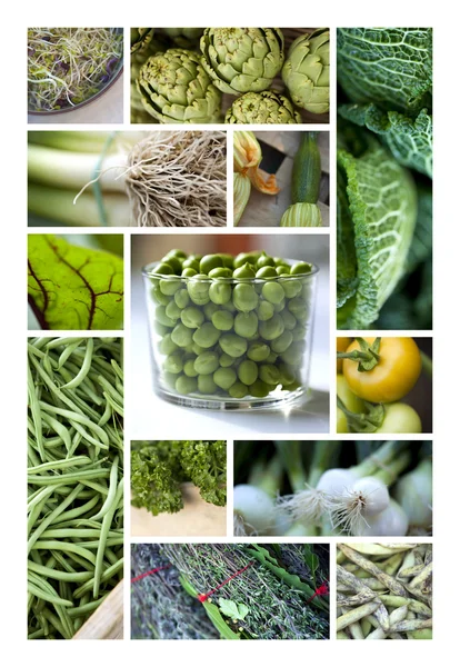 Grünes Gemüse und Kräuter — Stockfoto