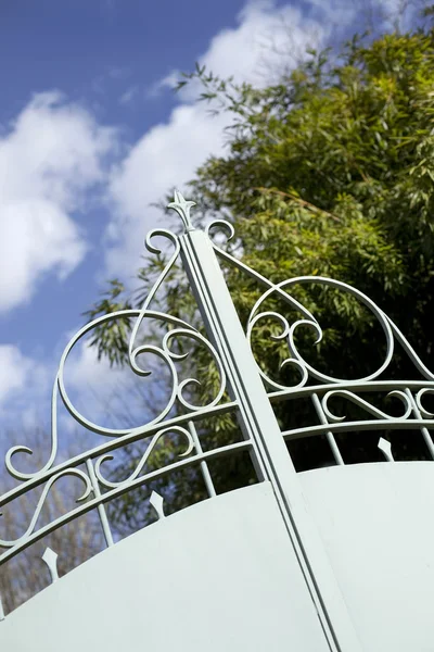 Porte Fer Forgé Bambou Dans Parc — Photo