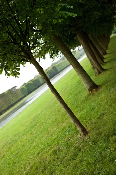 Alberi Piscina Nel Parco Versailles — Foto Stock