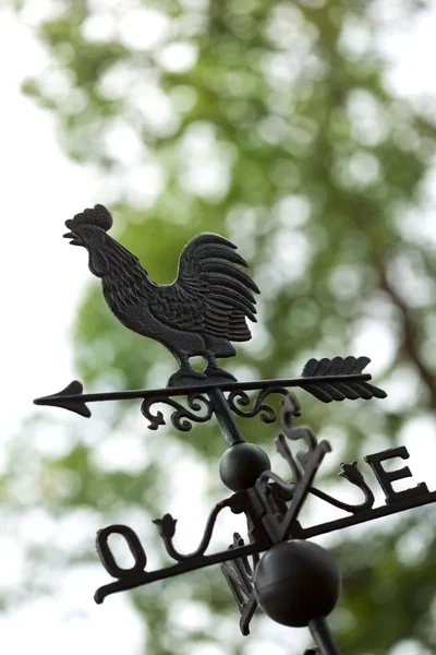 Wetterhahn im Park — Stockfoto