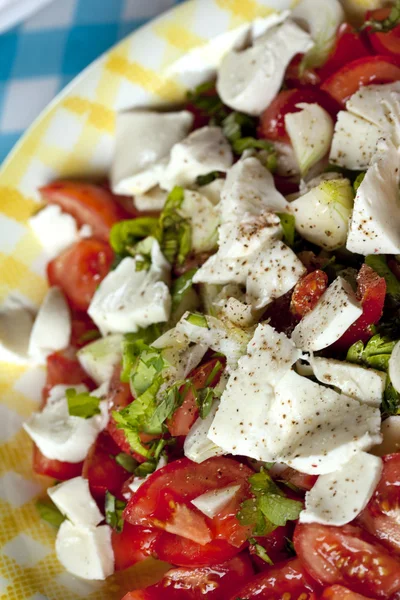 Pomodoro Fetta Prezzemolo Cipolle Insalata — Foto Stock