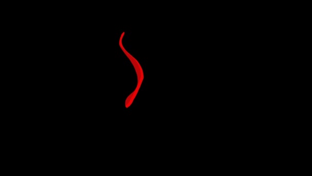 Elemento Liquido Rosso Fluente Vorticoso Sfondo Nero Grafica — Video Stock