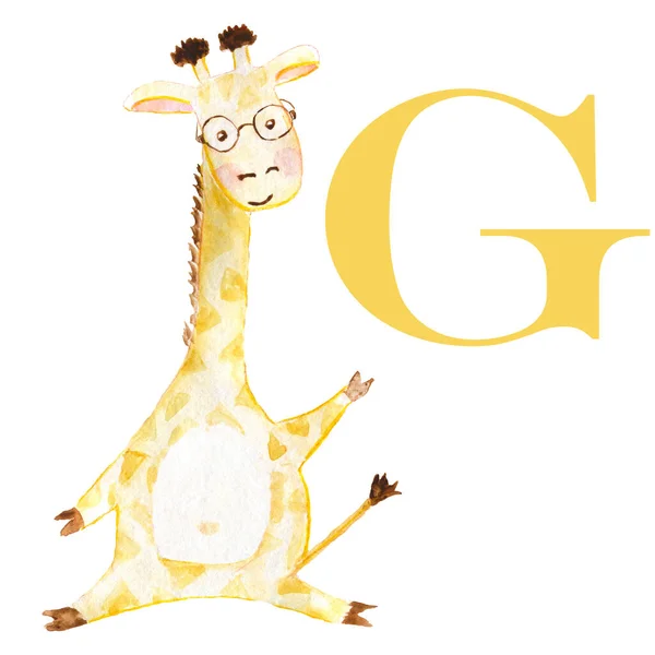 Watercolor giraffe . English alphabet with animals. Children\'s illustration.