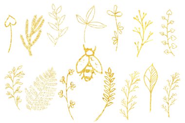 Altın dallı suluboya seti. Bayram tebrik kartı parçaları. Doğum günü için kompozisyon.