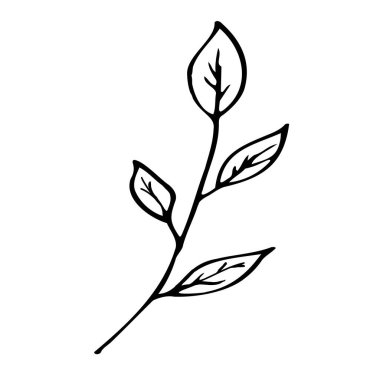 Beyaz arka planda vektör dalı. Şablon ve tasarım için illüstrasyon.