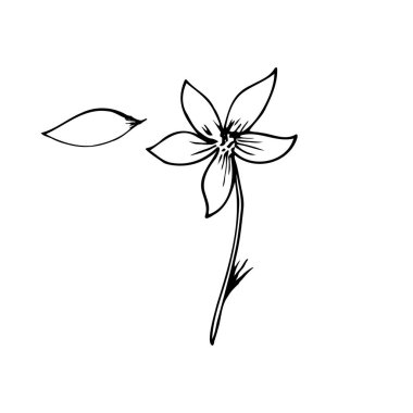 Vektör çizgisi, çiçek ve yapraklar beyaz arka planda siyah izole edilmiş. Kartpostallar için Flora.