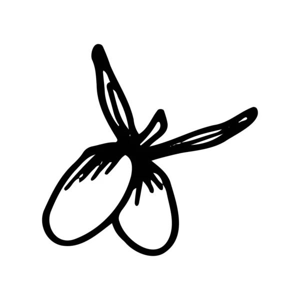 Olive Tree Branch ilustração desenhada à mão em estilo esboço. Imagens para o logotipo e impressão. —  Vetores de Stock