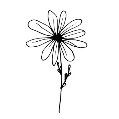 Vektör Çiçeği. Kartpostallar ve davetiyeler için resim. Baskı için çizim. Kelime.