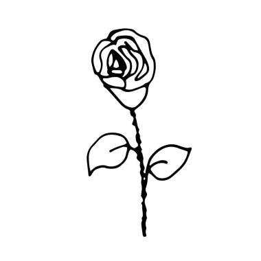 Vektör Çiçeği. Kartpostallar ve davetiyeler için resim. Baskı için çizim. Kelime.