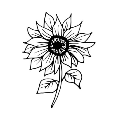 Vektör Çiçeği. Kartpostallar ve davetiyeler için resim. Baskı için çizim. Kelime.