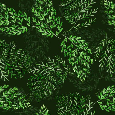 Eğrelti otu yapraklı suluboya deseni. Kumaş ve ambalaj kağıdı dokusu. Bitkisel baskı.