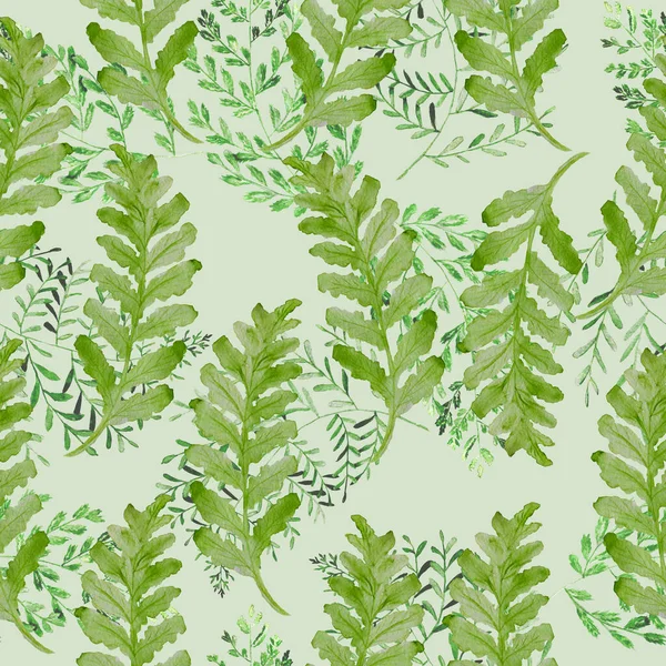 Motif aquarelle avec feuilles de fougère. Texture pour tissu et papier d'emballage. Impression à base de plantes. — Photo