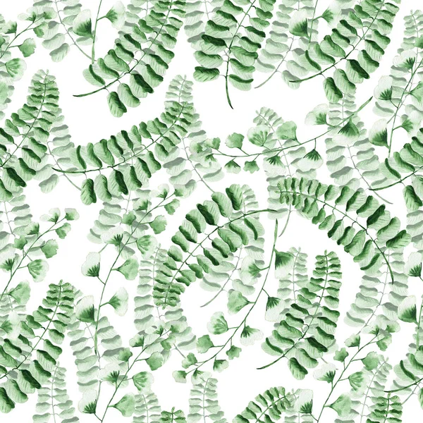Watercolor pattern with fern leaves. Texture for fabric and wrapping paper. Herbal print.