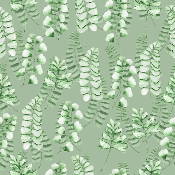 Motif aquarelle avec feuilles de fougère. Texture pour tissu et papier d'emballage. Impression à base de plantes. — Photo