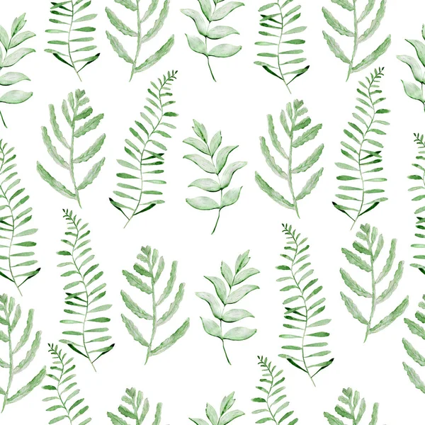 Watercolor pattern with fern leaves. Texture for fabric and wrapping paper. Herbal print. — Stock Photo, Image