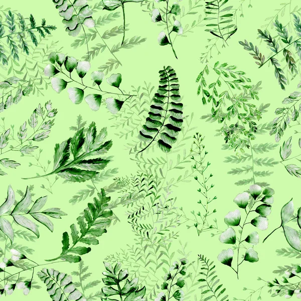 Motif aquarelle avec feuilles de fougère. Texture pour tissu et papier d'emballage. Impression à base de plantes. — Photo