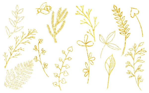 Set aus Goldzweigen, linearen Blättern und Samen. Hand isoliert auf weißem Hintergrund bemalt. — Stockfoto