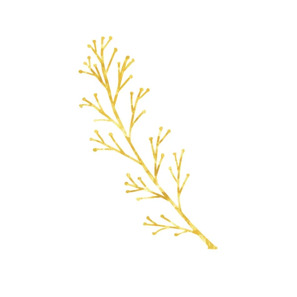 Gałąź złota, liniowe liście i nasiona. Ręcznie malowane na białym tle. Wektor. — Wektor stockowy