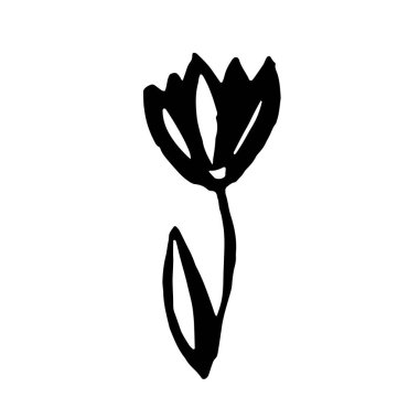 Çiçek açan el çizimi vektör çizimi. Yaz koleksiyonu için logo tasarımı ögesi.