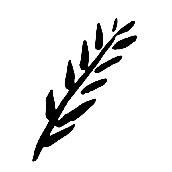 Ручная рисованная векторная иллюстрация цветущей ветви. Элемент дизайна логотипа для летней коллекции. — стоковый вектор