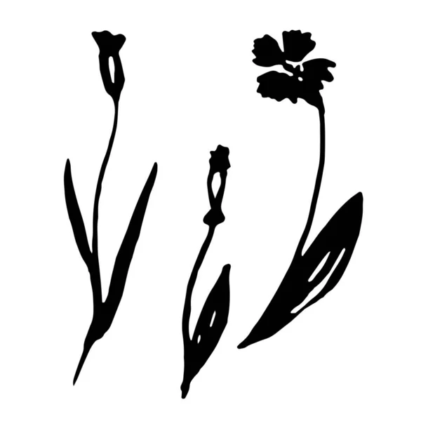 Illustrazione vettoriale disegnata a mano del fiore in fiore. Elemento di design logo per la collezione estiva. — Vettoriale Stock