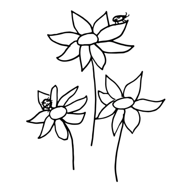 Illustrazione vettoriale disegnata a mano del fiore in fiore. Elemento di design logo per la collezione estiva. — Vettoriale Stock
