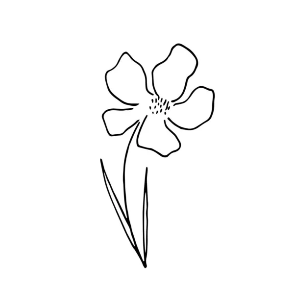 Ilustração vetorial desenhada à mão da flor florescente. Elemento de design de logotipo para coleção de verão. — Vetor de Stock