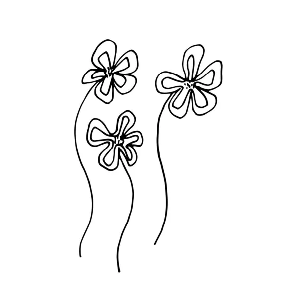 Ilustração vetorial desenhada à mão da flor florescente. Elemento de design de logotipo para coleção de verão. —  Vetores de Stock