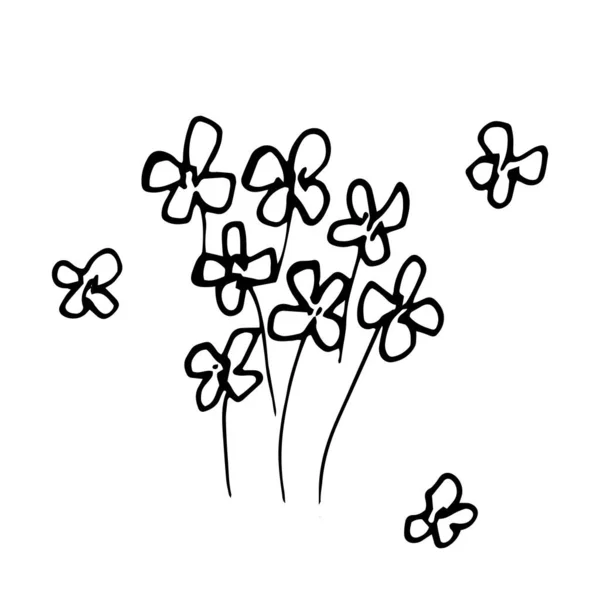 Handgetekende vector illustratie van bloeiende bloem. Logo design element voor zomercollectie. — Stockvector