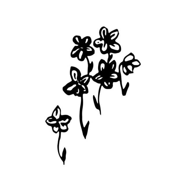 Ilustração vetorial desenhada à mão da flor florescente. Elemento de design de logotipo para coleção de verão. —  Vetores de Stock