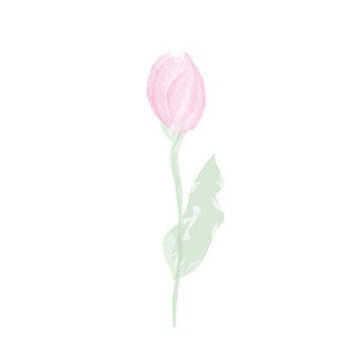 Çiçek açan el çizimi vektör çizimi. Yaz koleksiyonu için logo tasarımı ögesi.