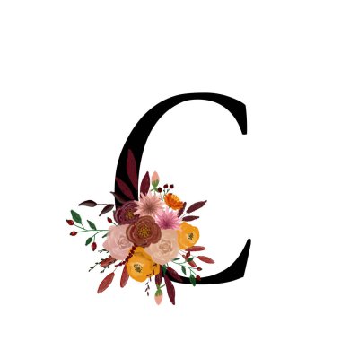 Sonbahar suluboya harfi C. Suluboya sonbahar alfabesi. Tebrik kartları, tebrik kartları ve davetiyeler için tasarım. Sonbahar temasını yazdırmak için çizim. Okul tasarımı.