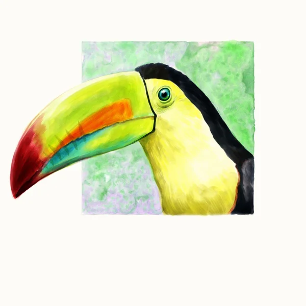 Toucan portrait — Stock Photo, Image