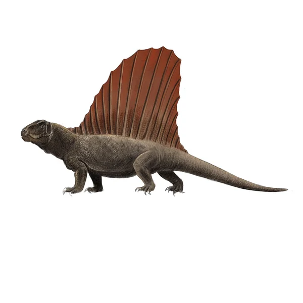 Dimetrodon — Zdjęcie stockowe