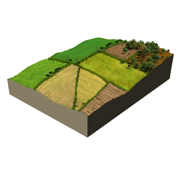 Terres agricoles écosystème modèle 3d — Photo