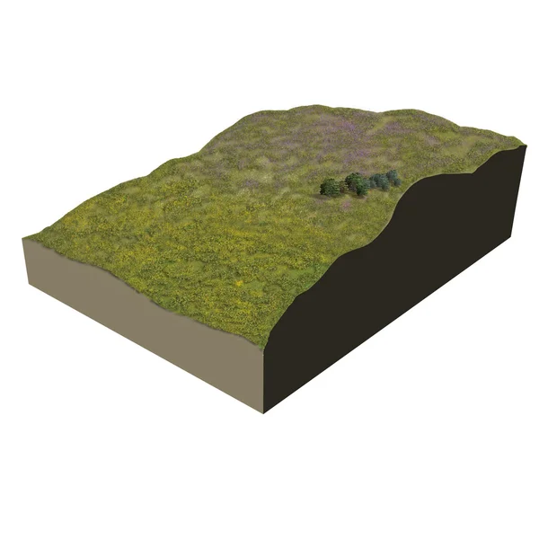 Ecosystem terrain heathery — Stock Photo, Image