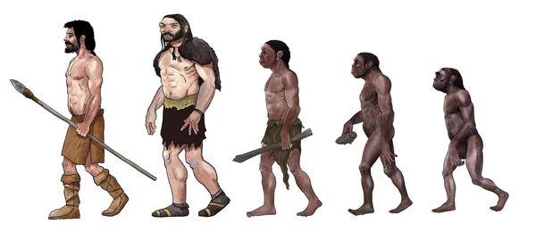 Иллюстрация эволюции человека — стоковое фото