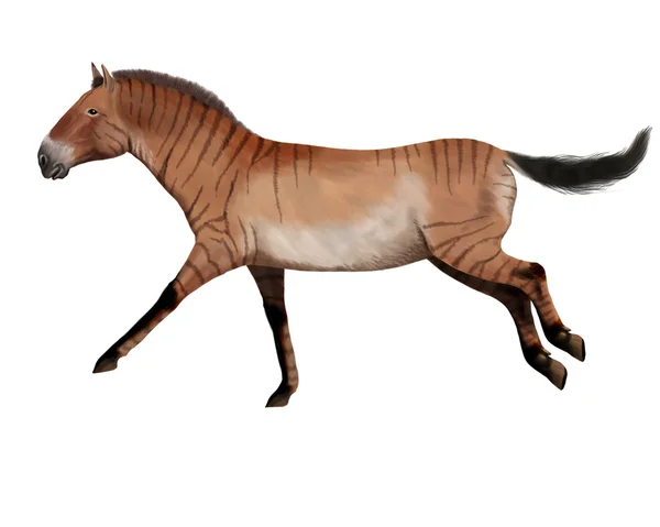 Ipparione, cavallo antico — Foto Stock