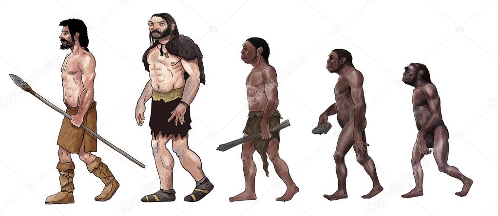 Human evolution illustration Stock Photo by ©nicolasprimola 61415137